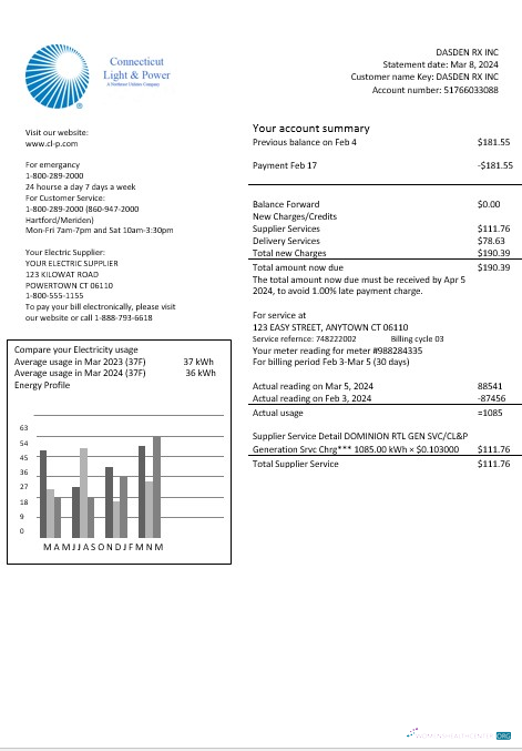 USA Connecticut Light & Power electricity business utility bill in Word and PDF formats